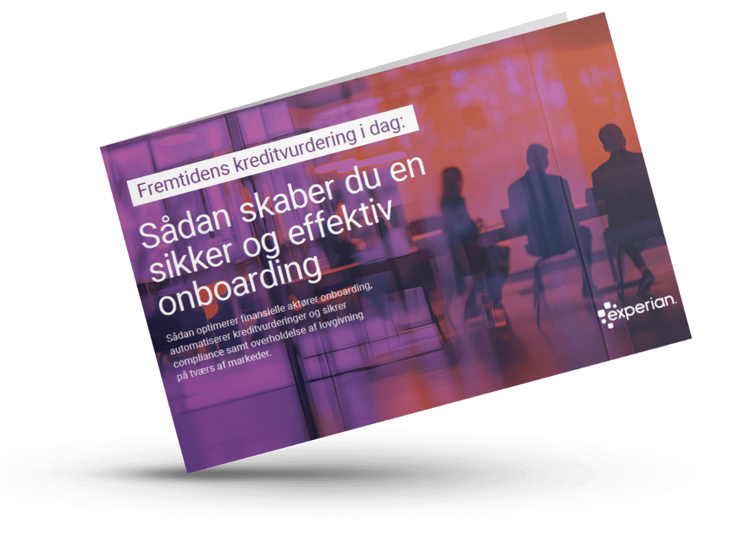 BusinessInsight Guide